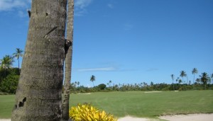 Affe,Golf,Canavieiras,Bahia,Brasilien