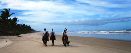 Reiten,Strand,Canavieras,Bahia,Brasil