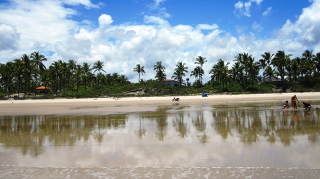 Immobilien,Bahia,Brasilien