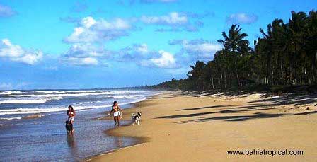 beach,canavieiras,bahia,brasilien