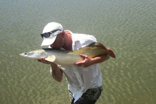 angeln,canavieiras,bahia,Hacki